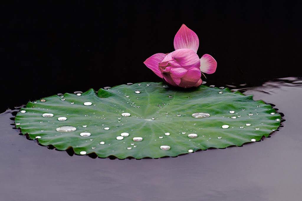 Con người đã cho nhau những gì