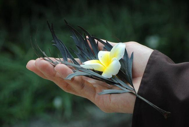 Chỉ khi nào có một trái tim chân thành