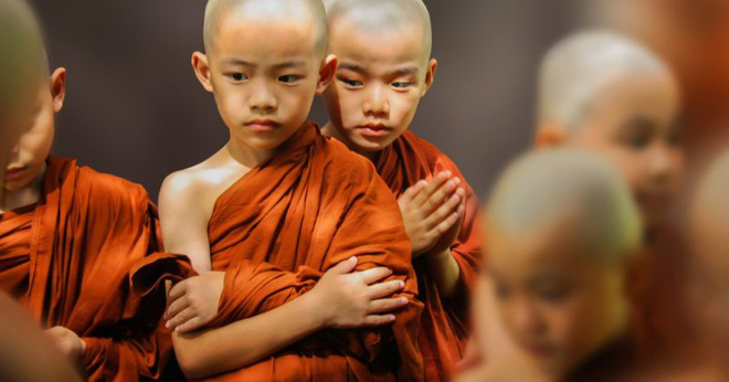 Cố chấp và thiệt thòi