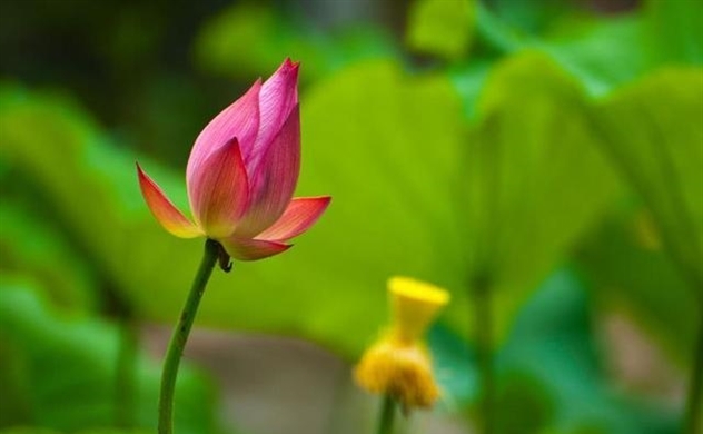 Một lần từ bi với cuộc đời