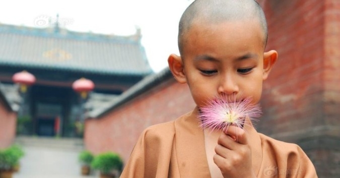 Một khi thân tâm ta thanh tịnh, hoàn cảnh sẽ tuỳ thuộc thanh tịnh