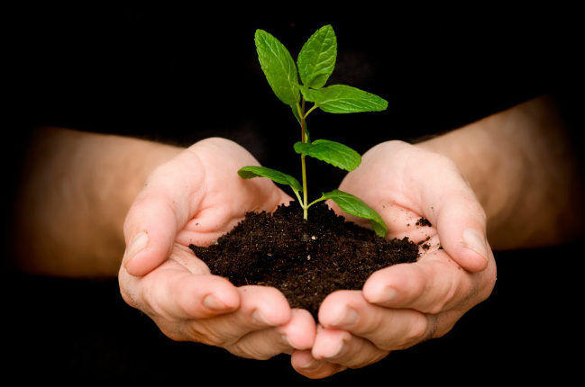 Phải hiểu rõ mình