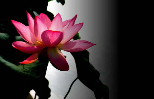 Đừng bắt buộc cuộc sống phải theo cách nào đó…