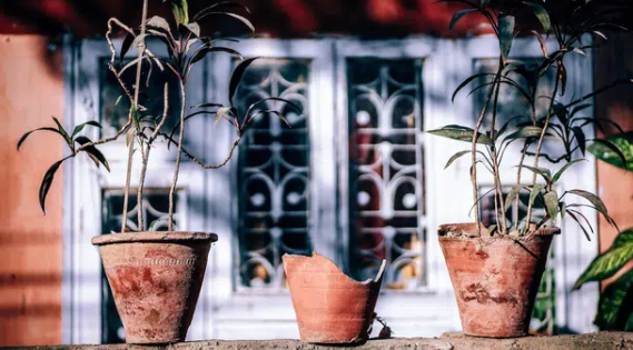  Vẫn hạnh phúc khi mọi điều chưa hoàn hảo