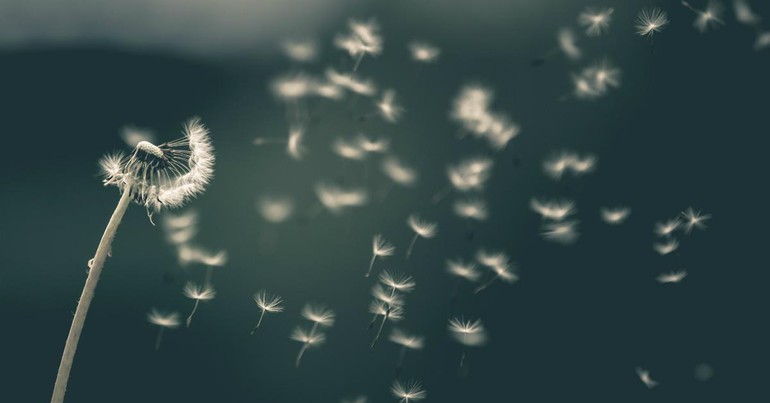 Chìa khóa đến trái tim người khác