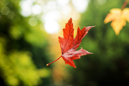 Không khó để học cách cảm thông cho người khác