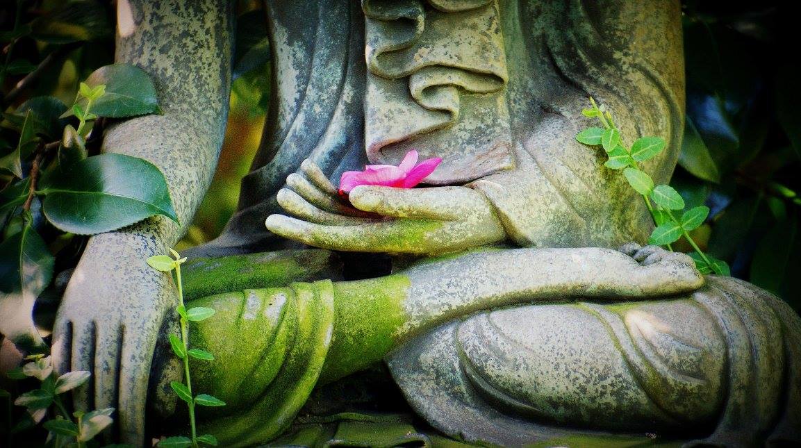 Phú khán kỳ sở vi