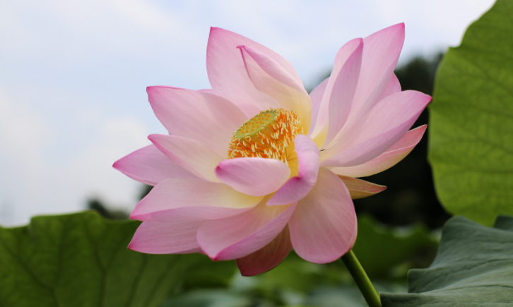 Muốn thay đổi người khác, phải thay đổi chính mình