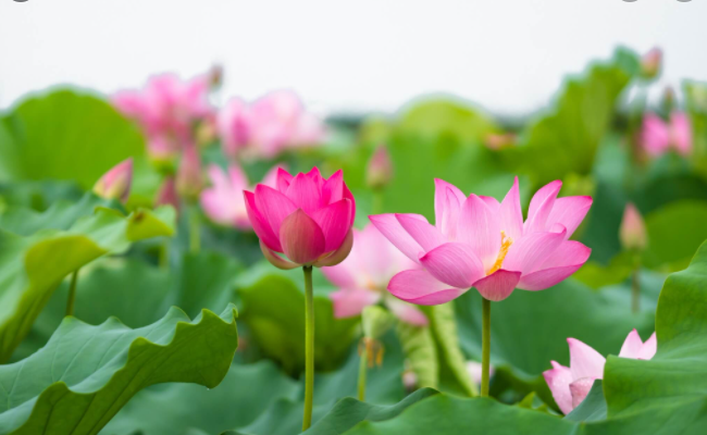 Hãy trân trọng những người thương yêu bạn