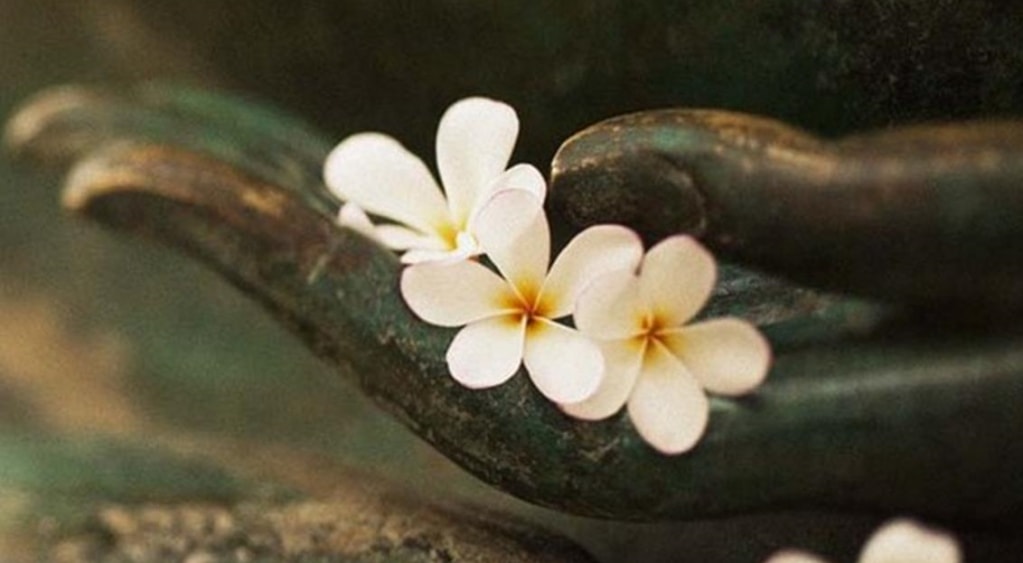 Người mang trong lòng trái tim từ bi 