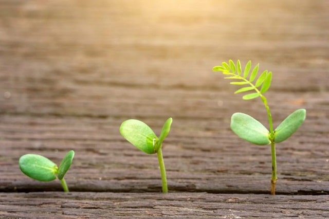 Hạnh phúc và ba điều sướng nhất cuộc đời