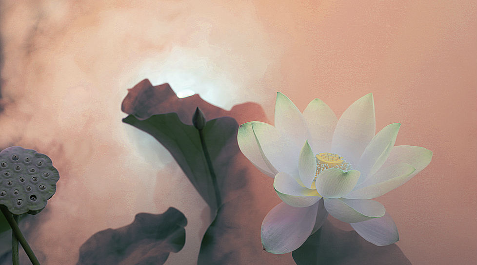 Bao lần thất bại dạy ta khôn