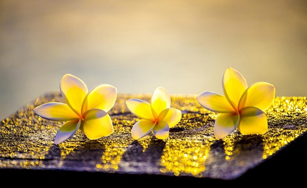 Ta không bỏ cuộc. Người cũng đừng bỏ cuộc.