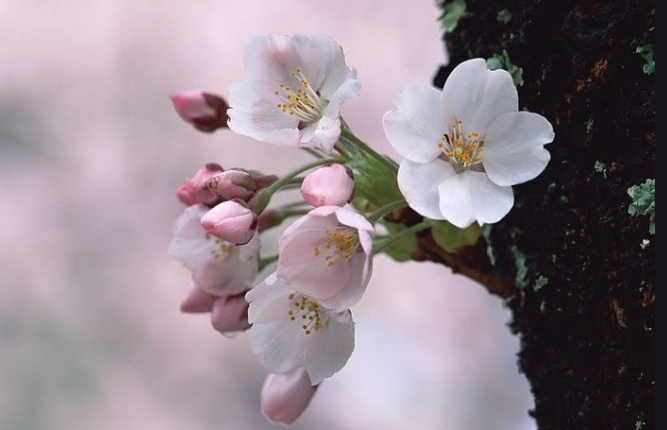 Hạnh phúc là của riêng mình