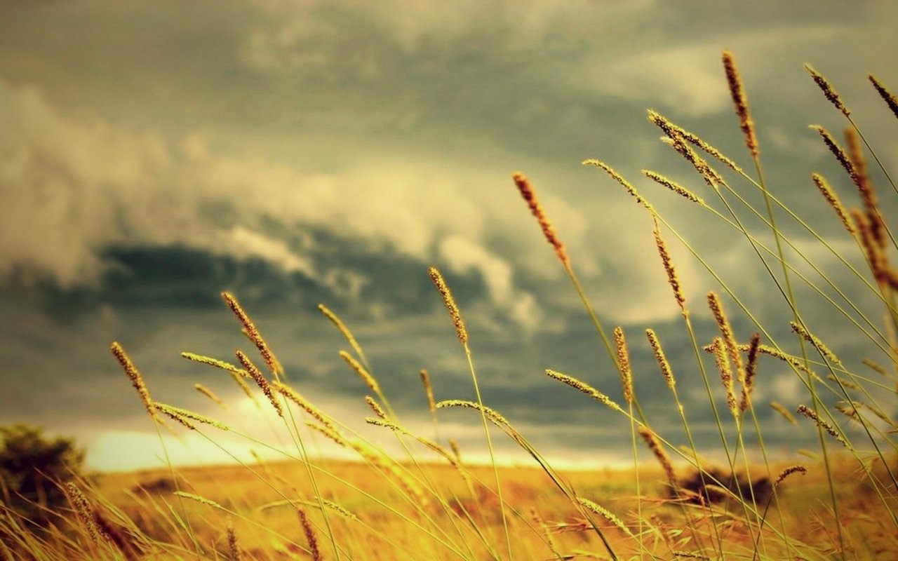 Người đời luôn đi về phía làm lòng mình “động”