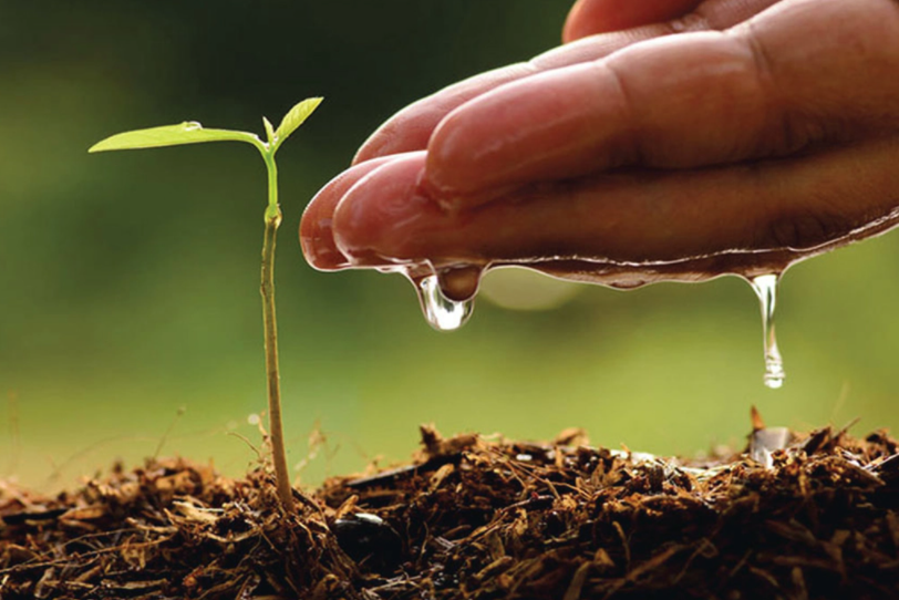 Phía sau một cuộc đời tươi đẹp