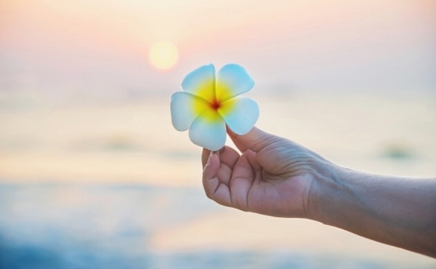 Lòng an định mới hiểu được vạn vật