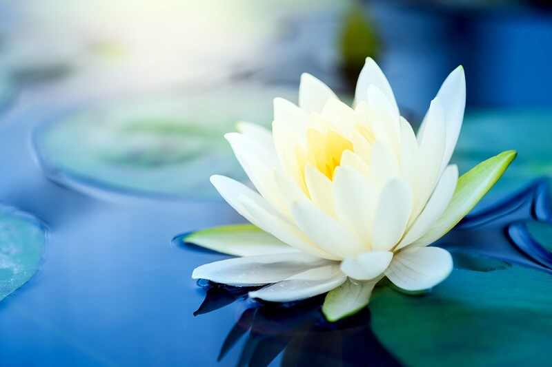 Buông . . . cho đỡ mệt