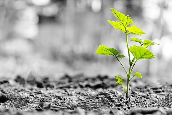 Đừng quan tâm ai nói gì về mình