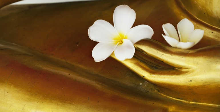 Hạnh phúc không bao giờ đến với người không biết quý trọng những gì mình có