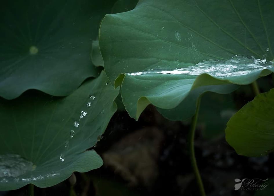 Hãy gửi trao những thứ bạn muốn được nhận