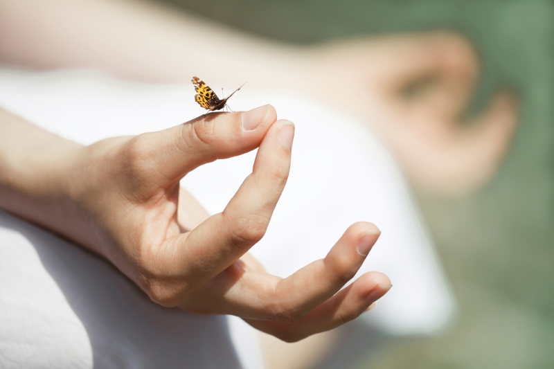 Im lặng là sự thanh cao cuối cùng