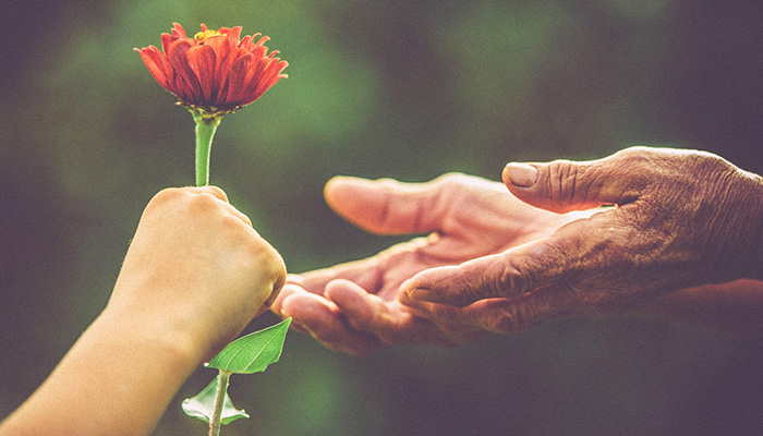 Cố gắng thức tỉnh để nhận ra những gì đang xảy ra trong tâm mình