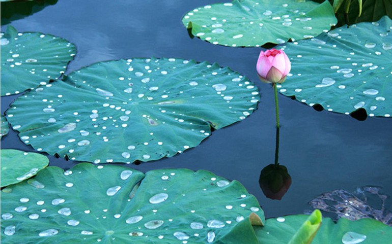 Không nên xét nét chi li