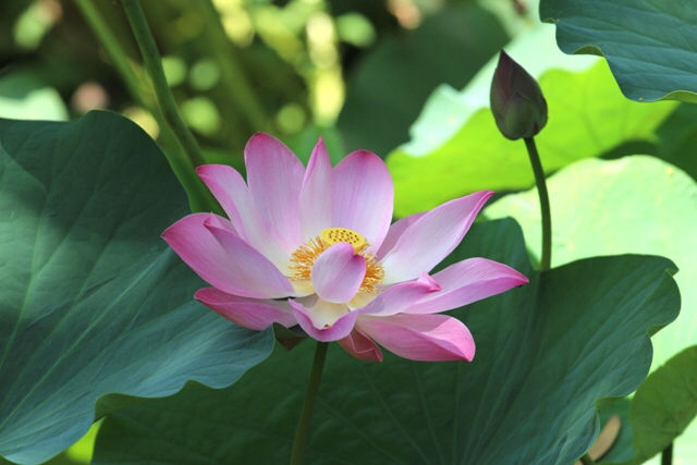 Con đường là tự mình đi, cẩn thận chút đừng để ngã