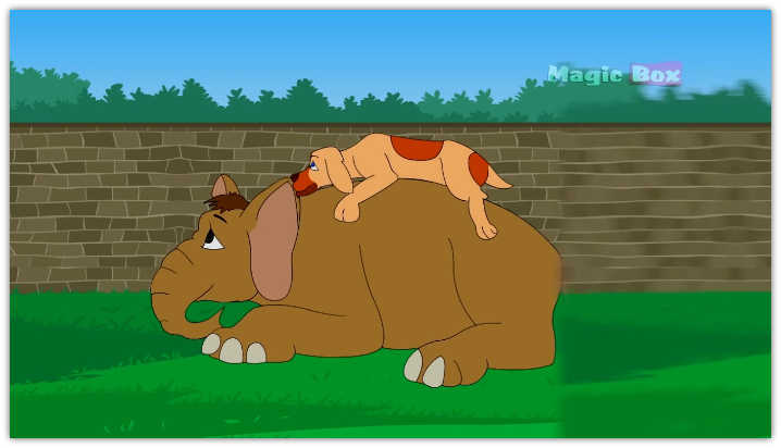  Truyện tiền thân Đức Phật: Con voi và con chó