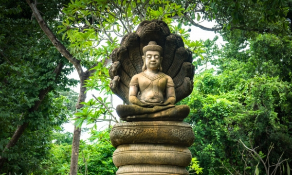  Áp dụng chánh nghiệp vào đời sống và tu tập