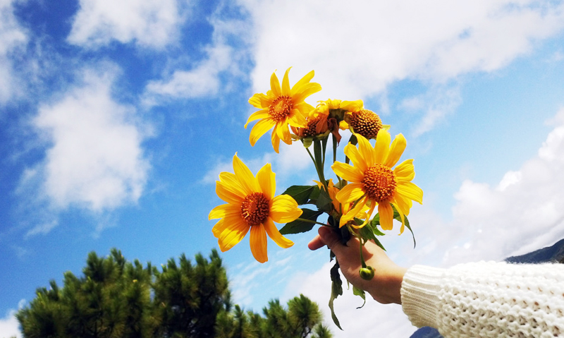 Thân tặng những ai suốt đời chỉ biết có tiền, sống vì đồng tiền