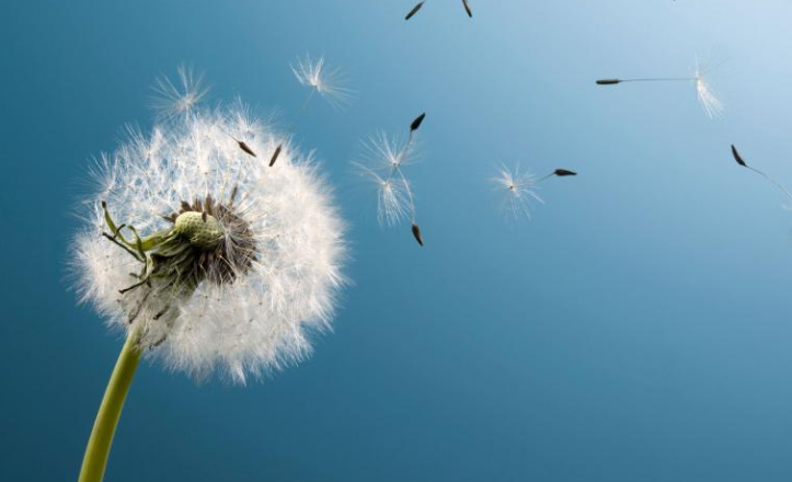 Nhẫn khiến việc lớn thành việc nhỏ, khiến việc nhỏ thành vô sự