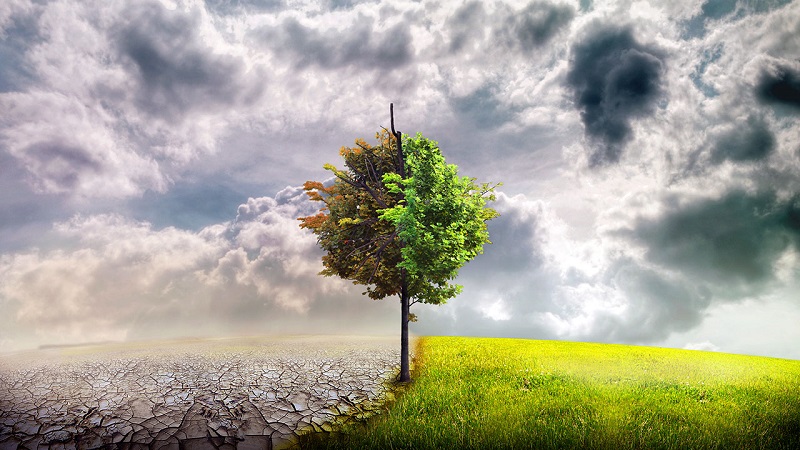  Pháp thoại: Biết chết và biết sống