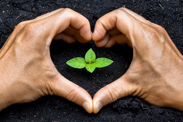 Những điều tuyệt vời nhất trong cuộc sống luôn bắt nguồn từ những hành động tốt đẹp