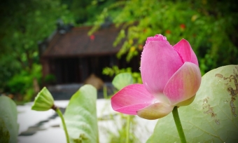 Hôm nay sẽ qua đi, ngày mai rồi sẽ đến, một ngày mới sẽ lại bắt đầu