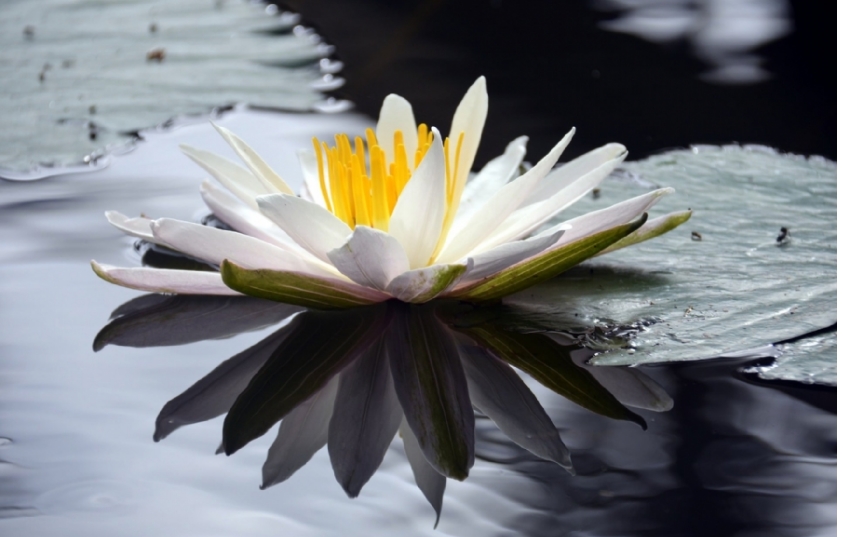 Không ai có thể mang lại hạnh phúc cho chúng ta ngoài bản thân mình