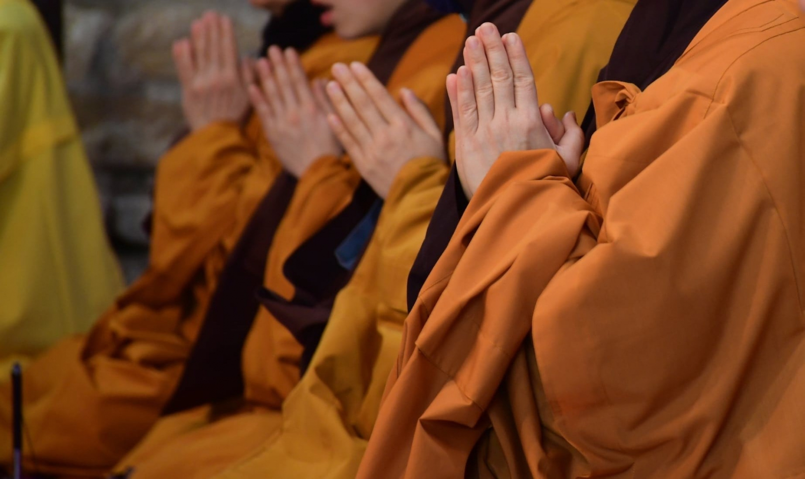  Xin thương nhau giữa cuộc đời vô thường