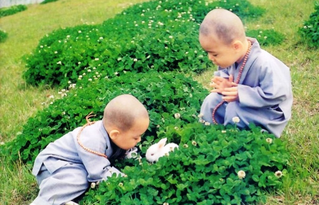 Đừng xem trọng bề ngoài – bề ngoài có thể đánh lừa ta