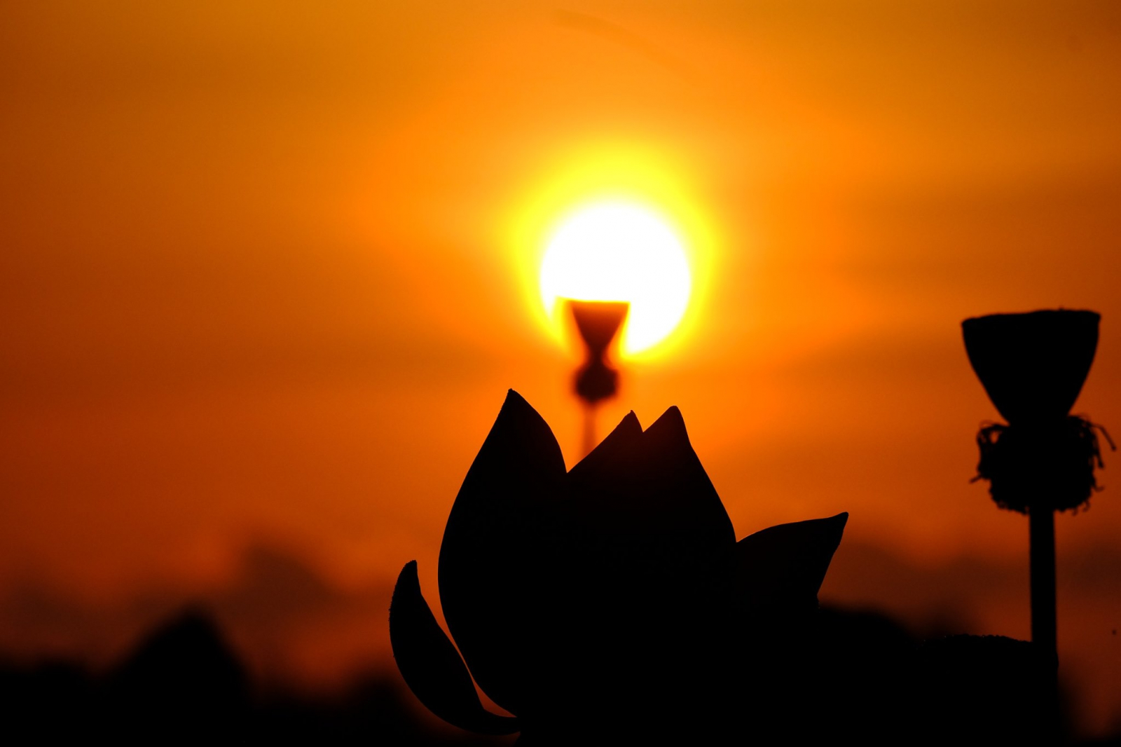 Câu chuyện con bướm