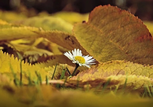 Nhìn nhận cuộc sống