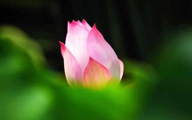 Suy nghĩ quyết định cuộc sống