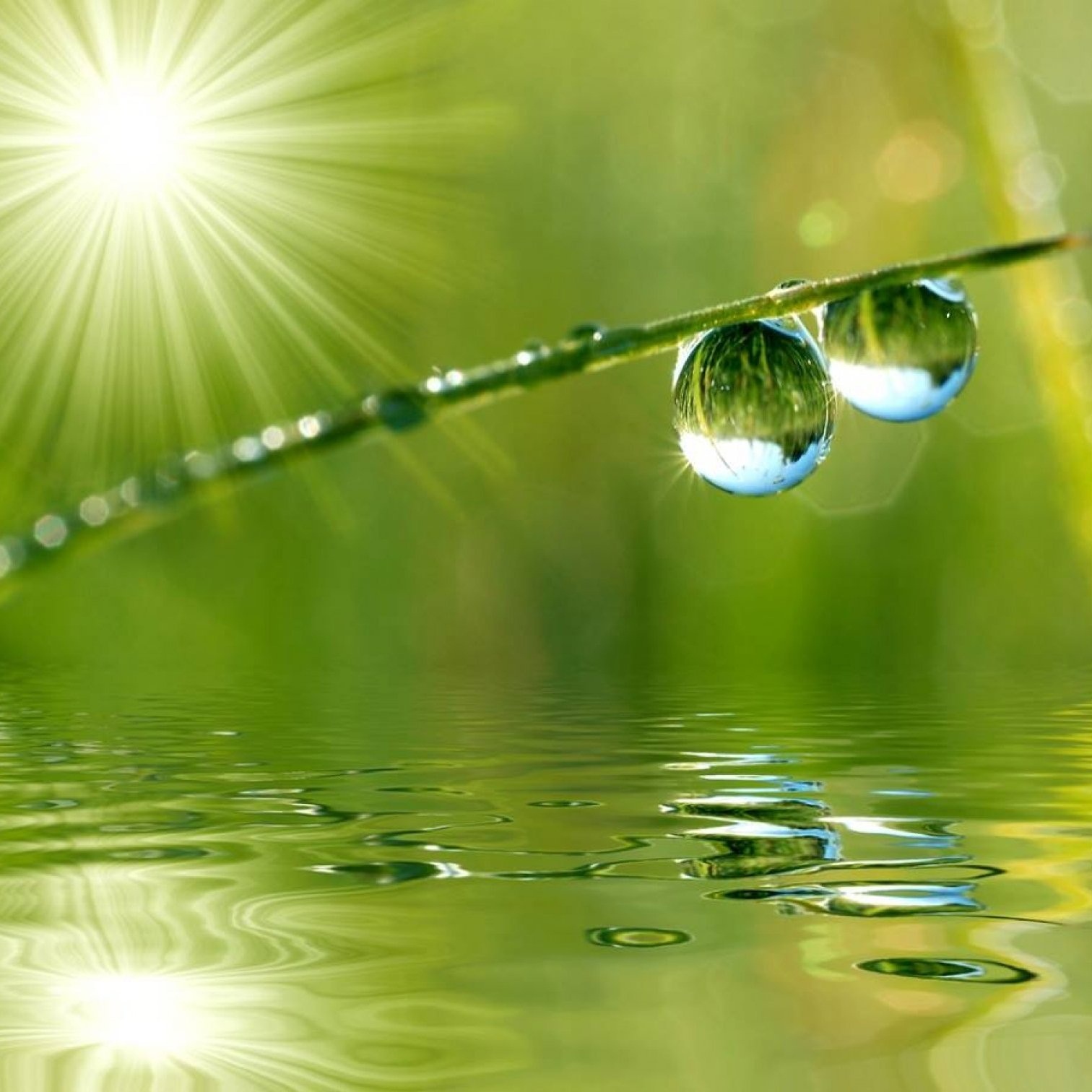 Sức mạnh của nước