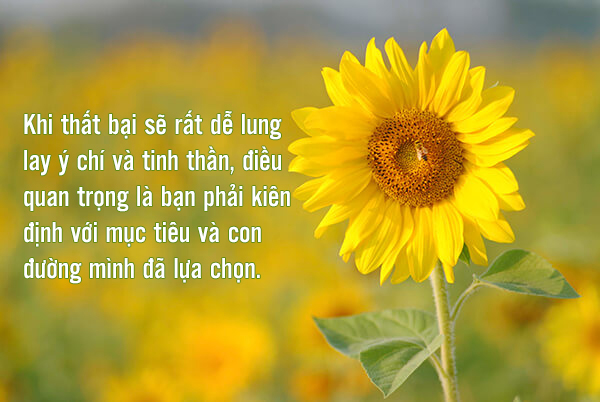 Ta không bỏ cuộc. Người cũng đừng bỏ cuộc.