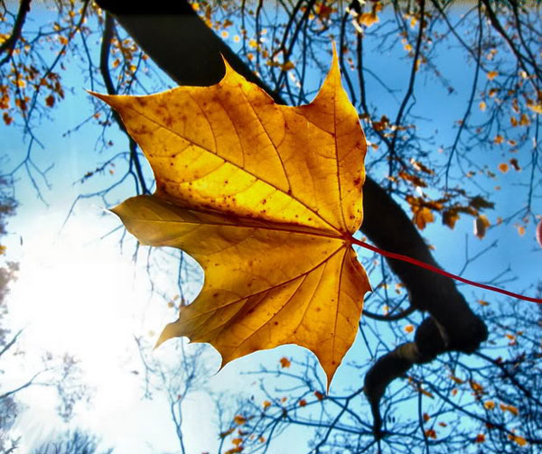 Đừng bao giờ thốt ra điều gì khiến chúng ta cảm thấy xa cách nhau