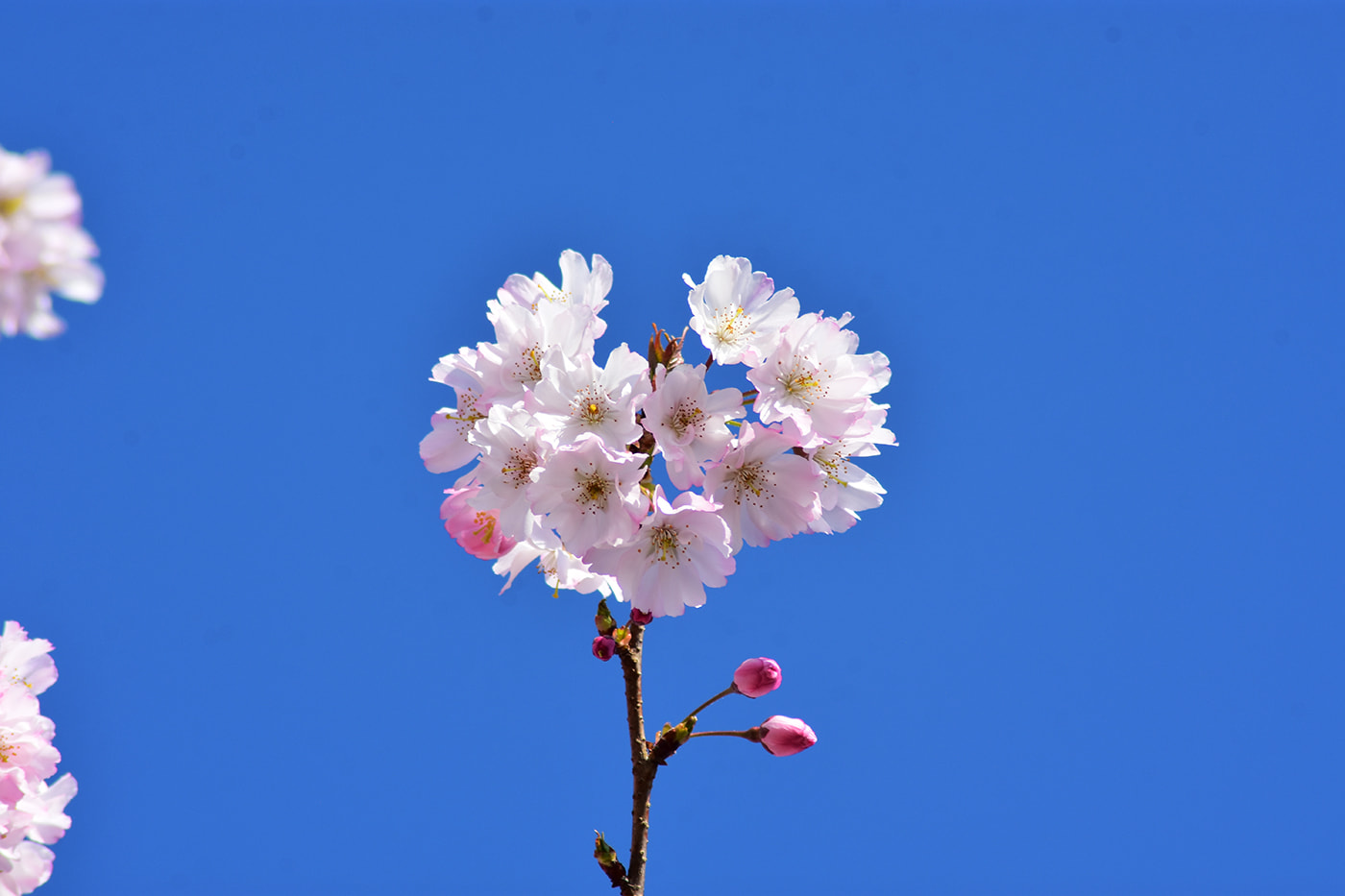 Im lặng cũng là một loại bao dung