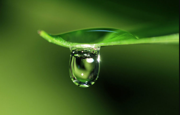 Hạnh phúc là hài lòng với những gì mình có