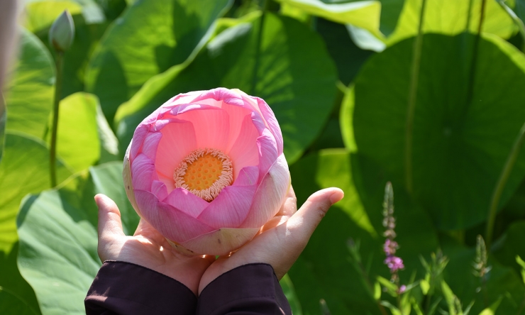 Đừng bao giờ trách móc bất kỳ ai trong cuộc sống của bạn.