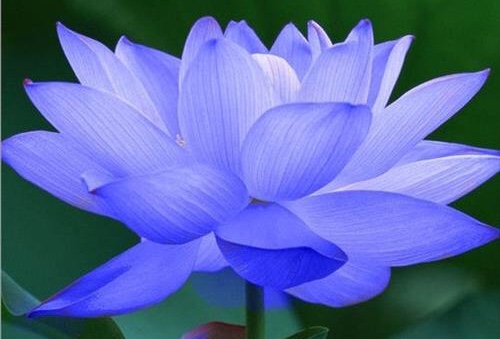 Người chia sẻ với người khác nhiều nhất