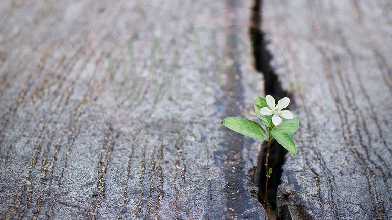 Hãy luôn mở rộng lòng và đón nhận mọi điều trong cuộc sống